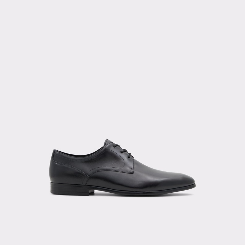 Delfordflex Lace Up Shoe Fashion Black Aldo
