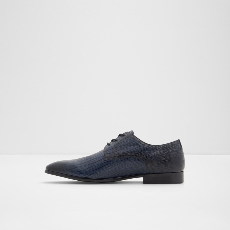 Delfordflex Lace Up Shoe Fashion Navy Aldo