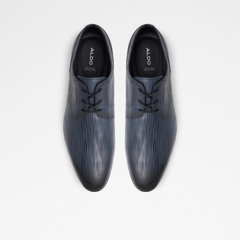 Delfordflex Lace Up Shoe Fashion Navy Aldo