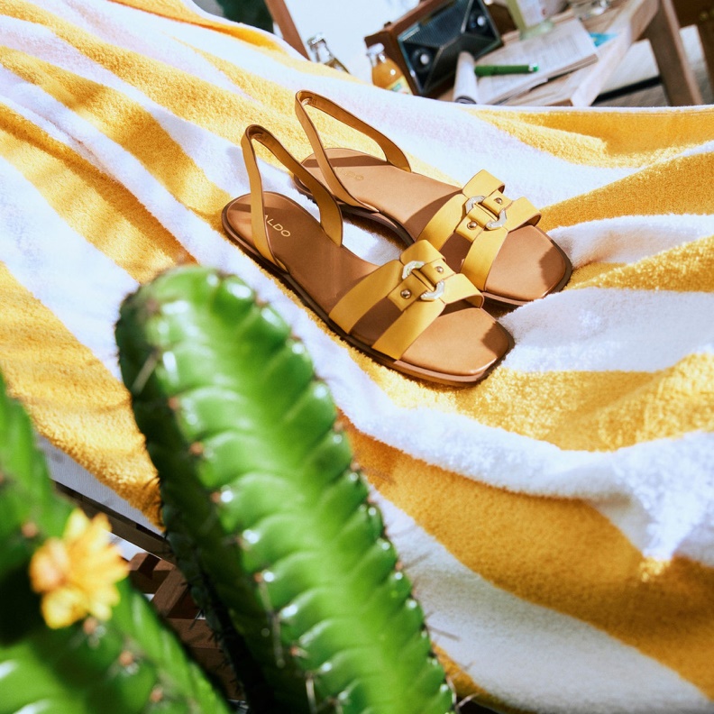 Fashion Aldo Fandra Aldo Fashion