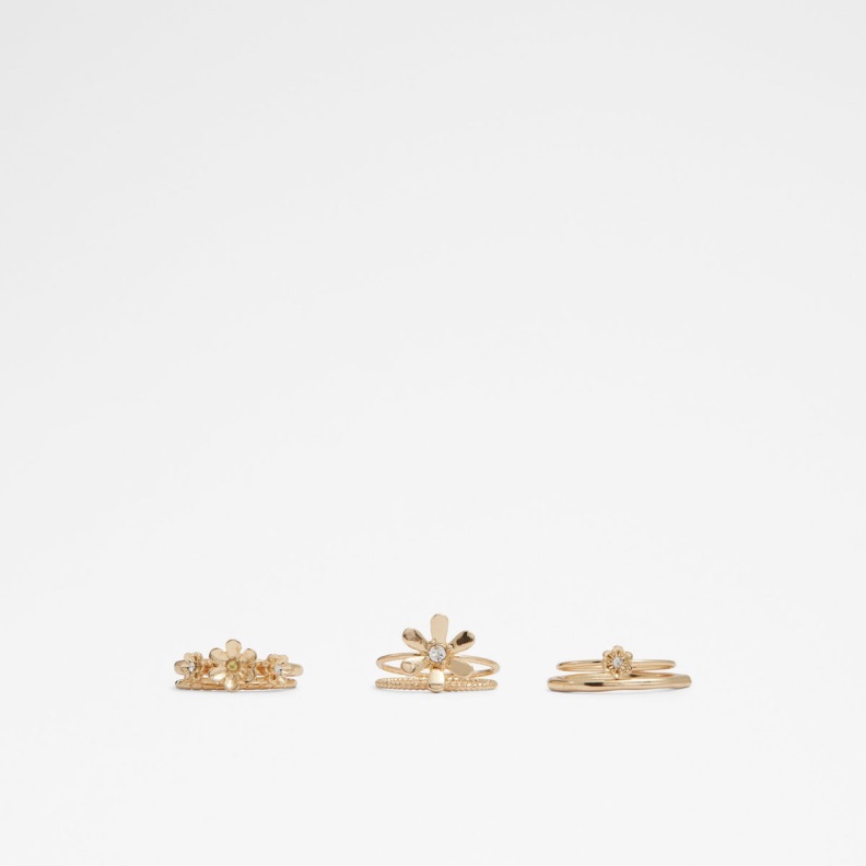 Galardoli Gold-Clear Multi Aldo Fashion