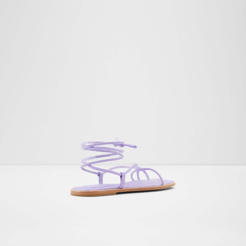 Purple Aldo Fashion Adravia