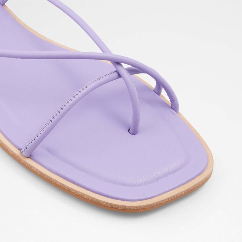 Purple Aldo Fashion Adravia