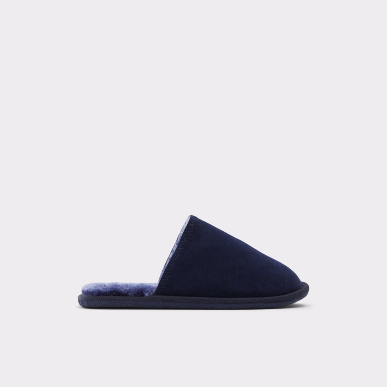Fashion Navy Aldo Adrendawyn Slippers