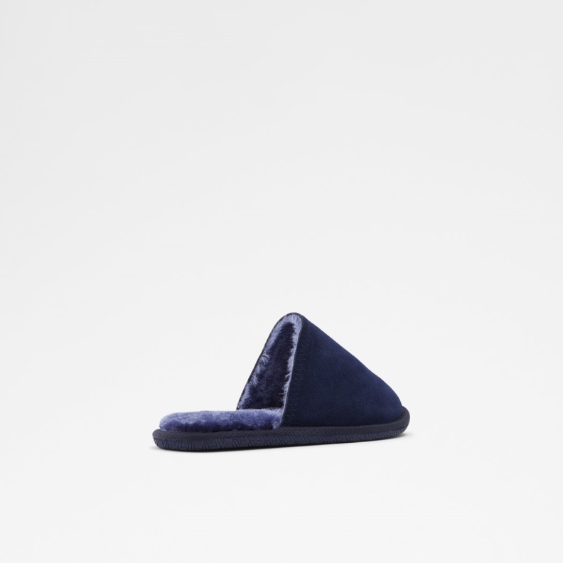 Fashion Navy Aldo Adrendawyn Slippers