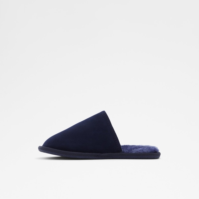 Fashion Navy Aldo Adrendawyn Slippers