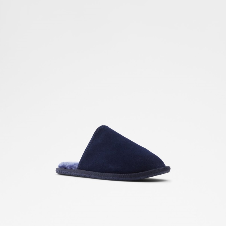 Fashion Navy Aldo Adrendawyn Slippers