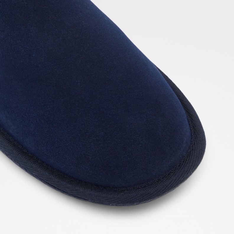 Fashion Navy Aldo Adrendawyn Slippers