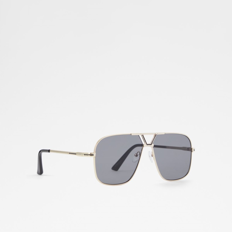 Aldo Fashion Black-Gold Multi Adrerarid Aviator Sunglasses