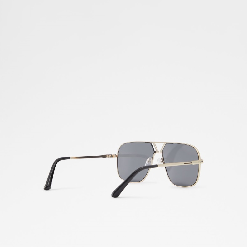 Aldo Fashion Black-Gold Multi Adrerarid Aviator Sunglasses
