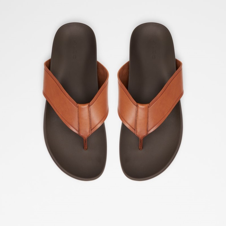 Cognac Afuthien Aldo Mode