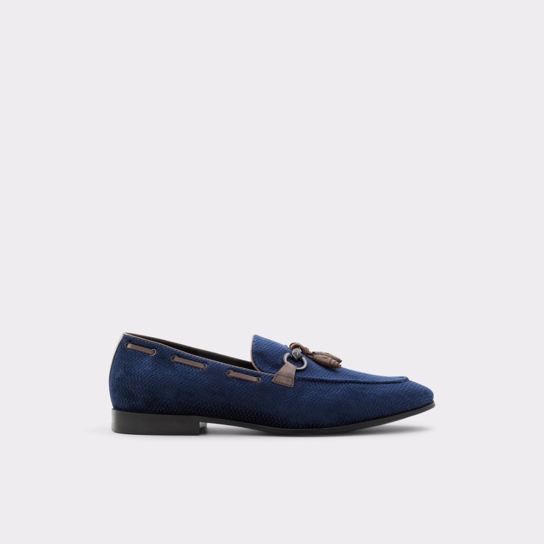 Ampthill Loafer Fashion Aldo Navy