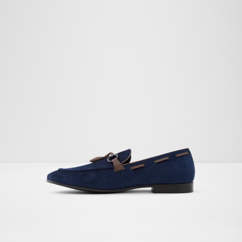 Ampthill Loafer Fashion Aldo Navy