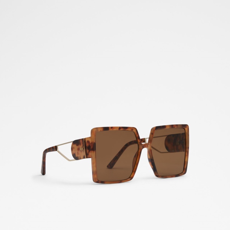 Brown Aldo Fashion Annerelia Sunglasses