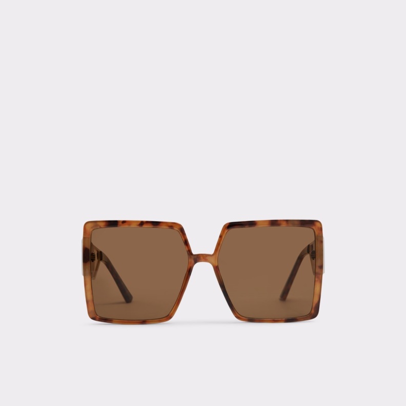 Fashion Brown Annerelia Sunglasses Aldo