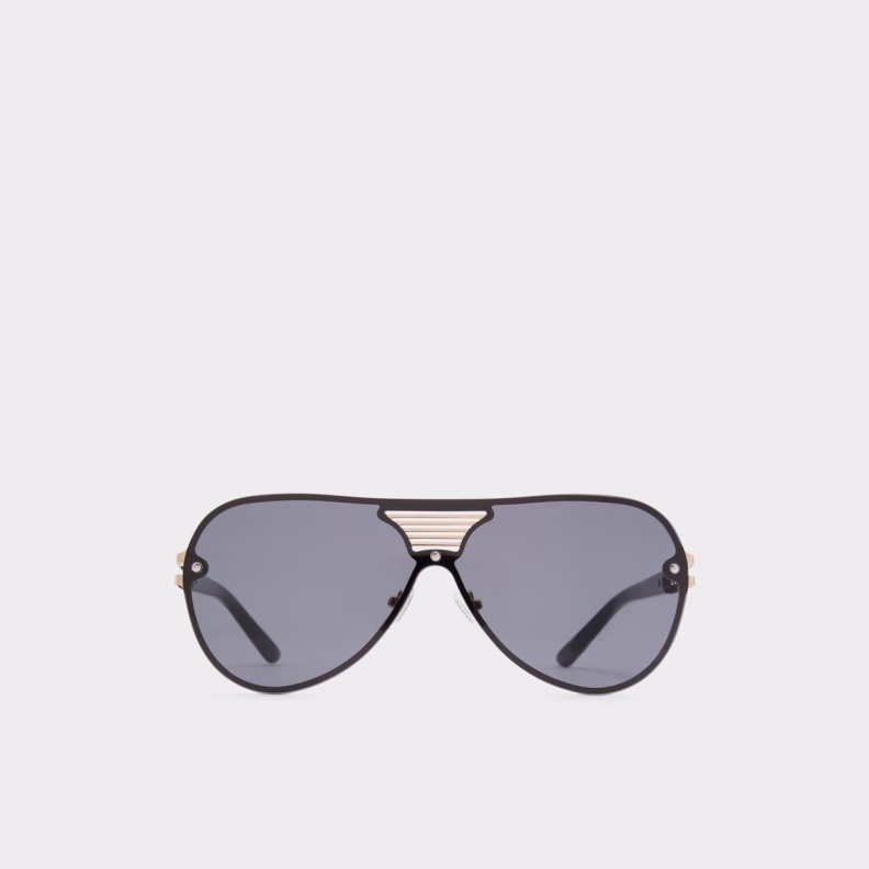 Black-Gold Multi Aonyx Aviator Sunglasses Aldo Fashion