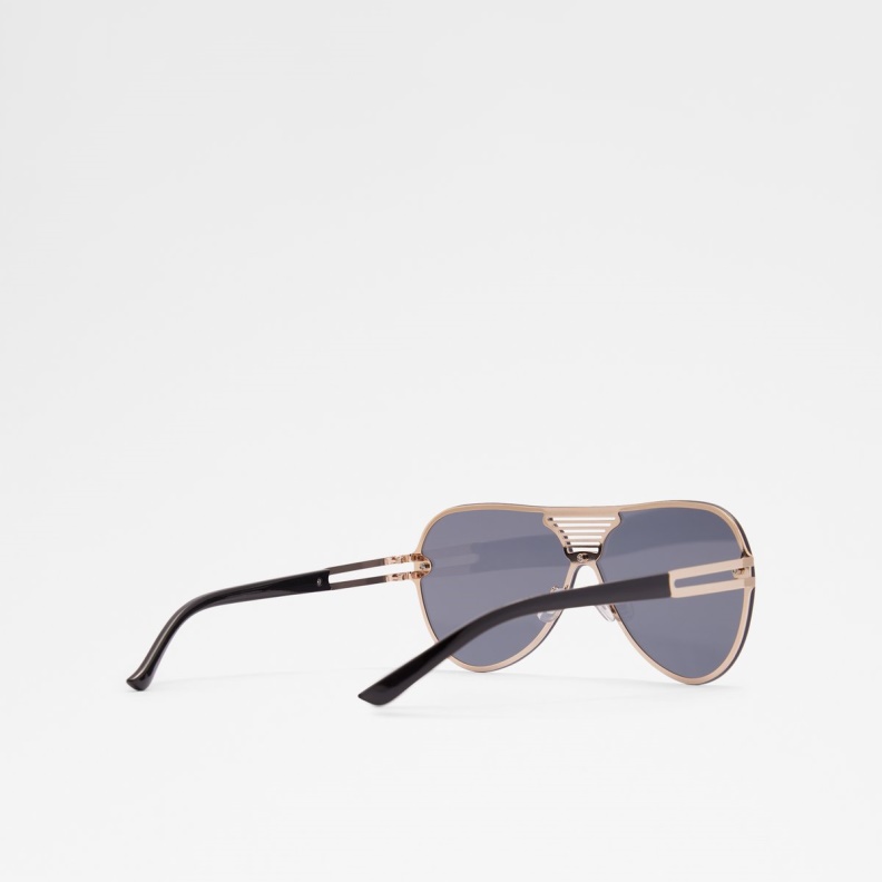 Black-Gold Multi Aonyx Aviator Sunglasses Aldo Fashion