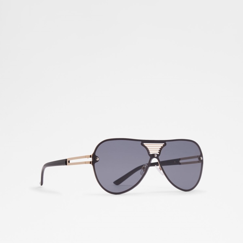 Black-Gold Multi Aonyx Aviator Sunglasses Fashion Aldo