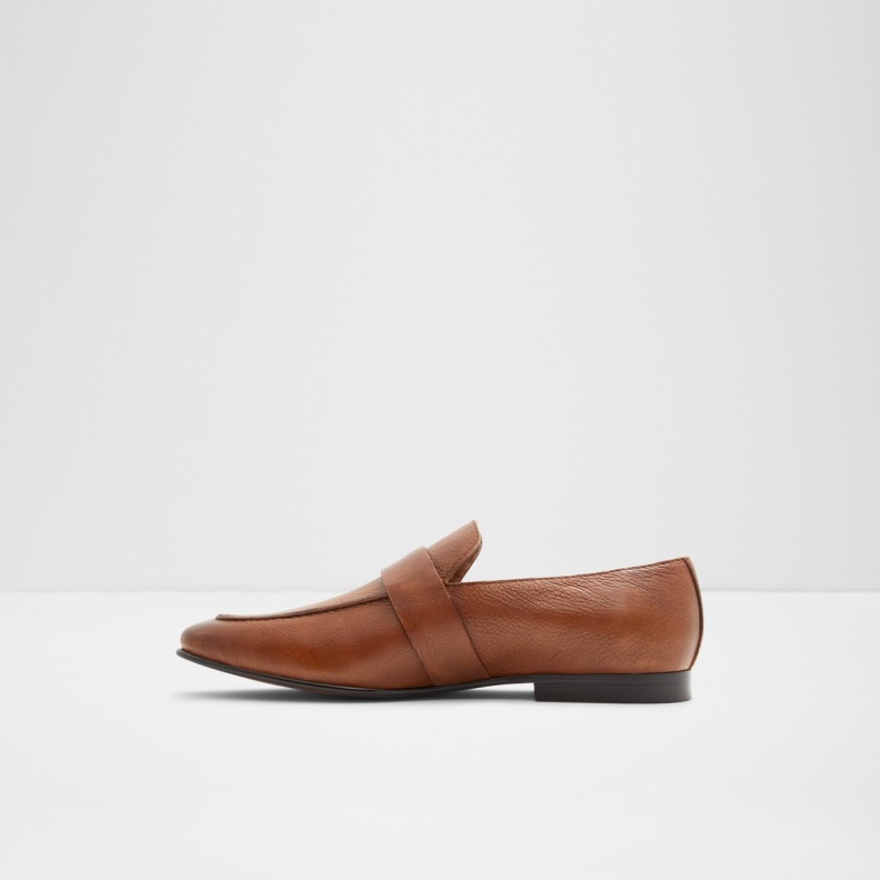 Cognac Bardow Loafer Fashion Aldo