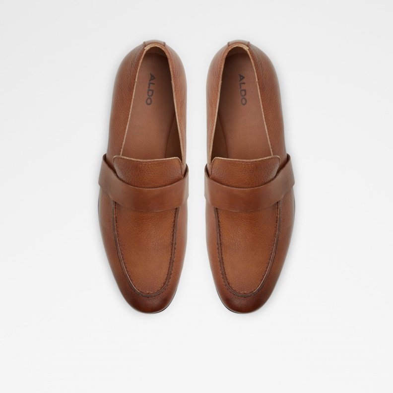 Cognac Bardow Loafer Fashion Aldo
