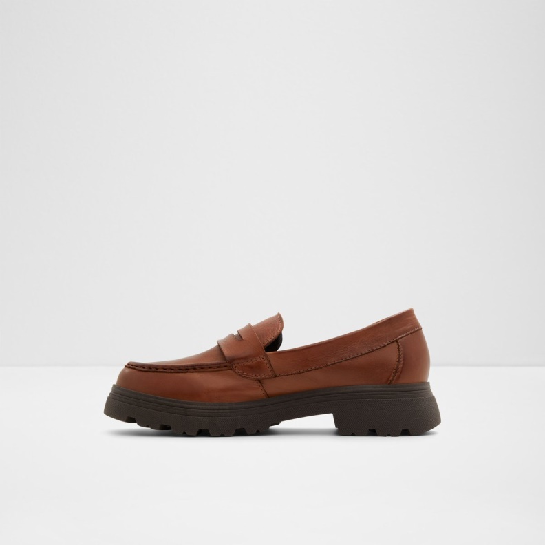Brown Fashion Aldo Biglect Loafer Lug Sole