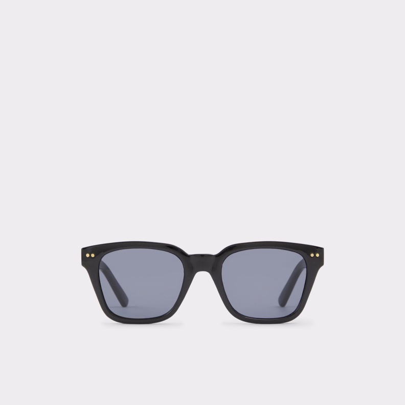 Fashion Black Brachium Sunglasses Aldo