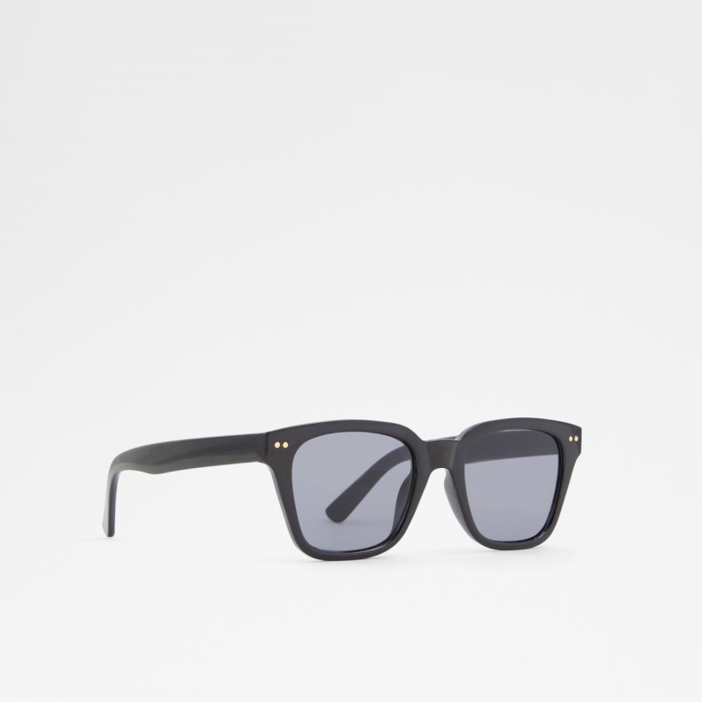 Fashion Black Brachium Sunglasses Aldo