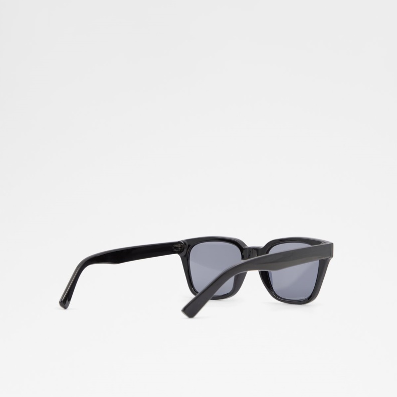 Fashion Black Brachium Sunglasses Aldo