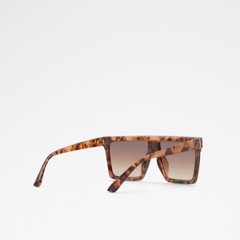Fashion Aldo Brightside Shield Sunglasses Brown