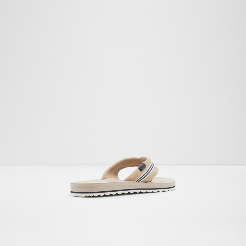 Brown Burges Flip Flop Fashion Aldo