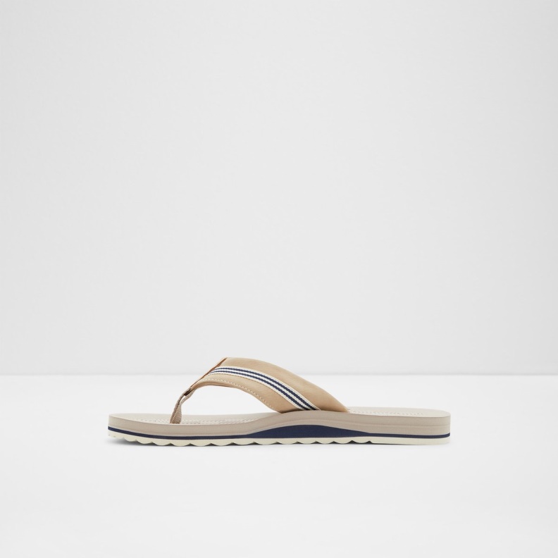 Brown Burges Flip Flop Fashion Aldo