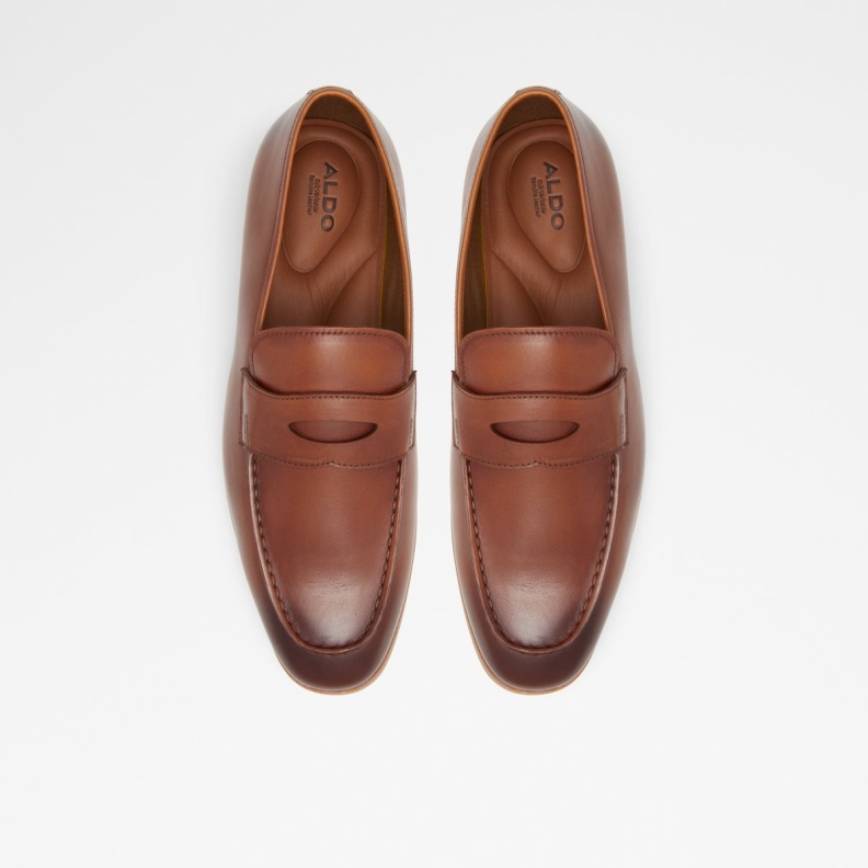 Byron Loafer Fashion Cognac Aldo
