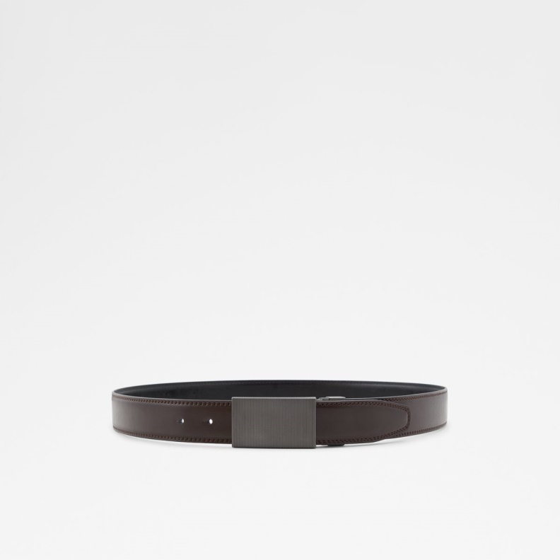 Fashion Aldo Cadaetrem Belt Black-Silver Multi