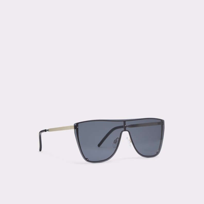 New Arrival Carramaryn Sunglasses Black-Gold Multi Aldo Fashion