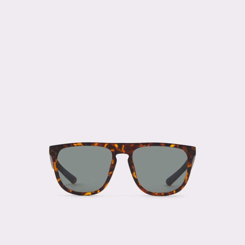 Fashion Aldo Chendadus Rectangle Sunglasses Brown