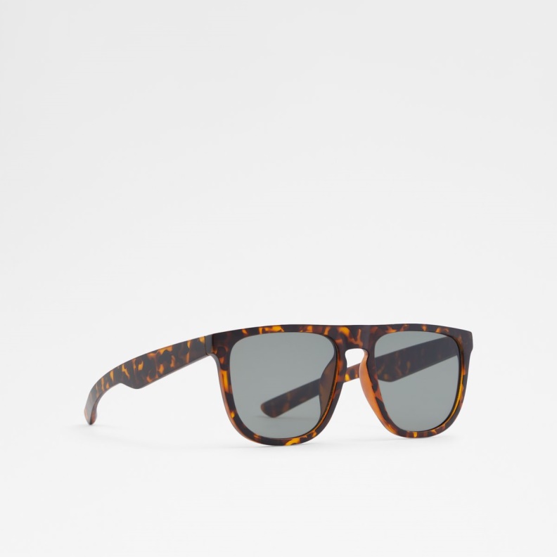 Fashion Aldo Chendadus Rectangle Sunglasses Brown