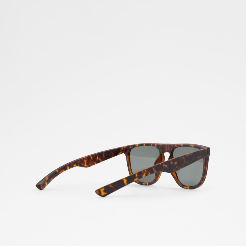 Fashion Aldo Chendadus Rectangle Sunglasses Brown