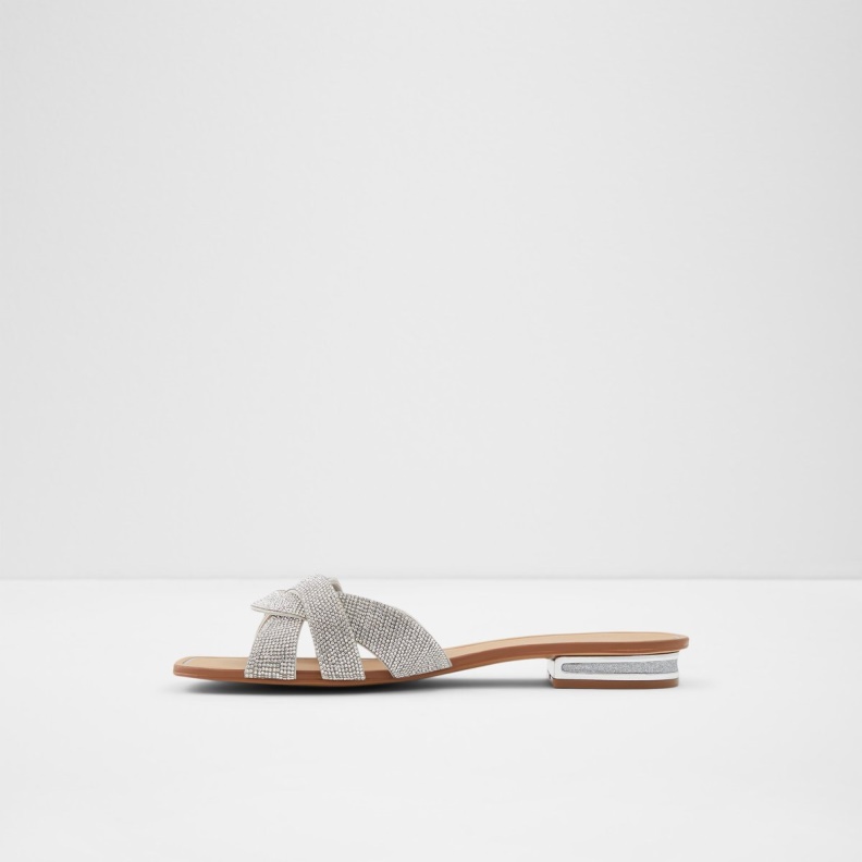 Sold Out Coredith Slide Sandal Fashion Aldo Silver