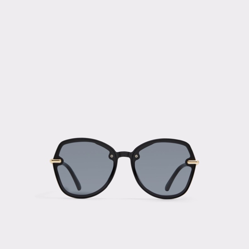 Black Cortegaca Sunglasses Aldo Fashion