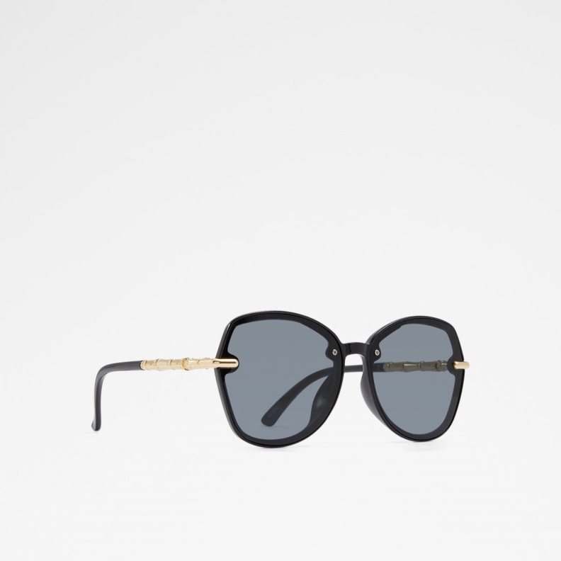 Black Cortegaca Sunglasses Aldo Fashion