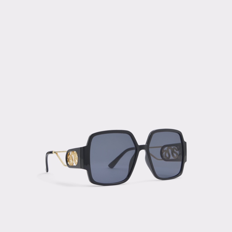 Fashion Aldo Black-Gold Multi Cynon Sunglasses