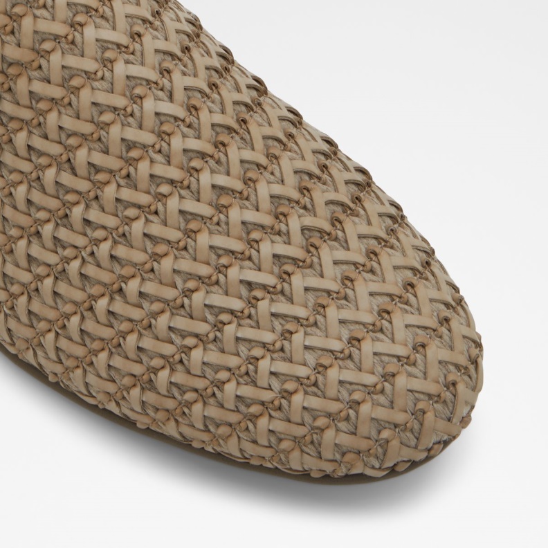 Dahlby Loafer Fashion Aldo Gray