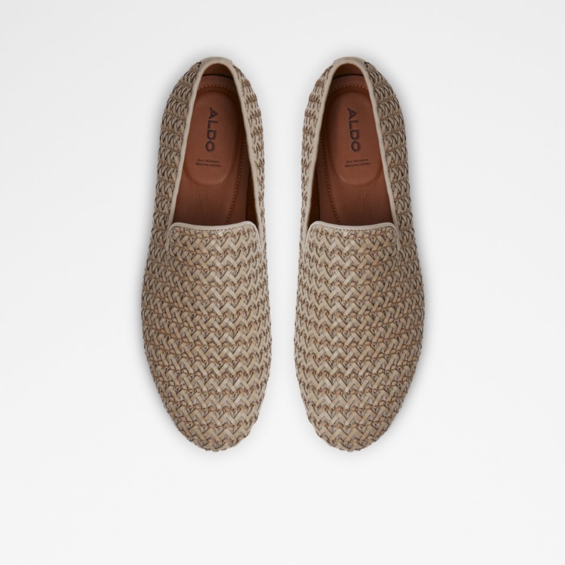 Dahlby Loafer Fashion Aldo Gray