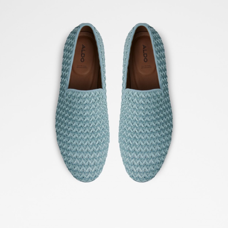 Dahlby Loafer Blue Aldo Fashion