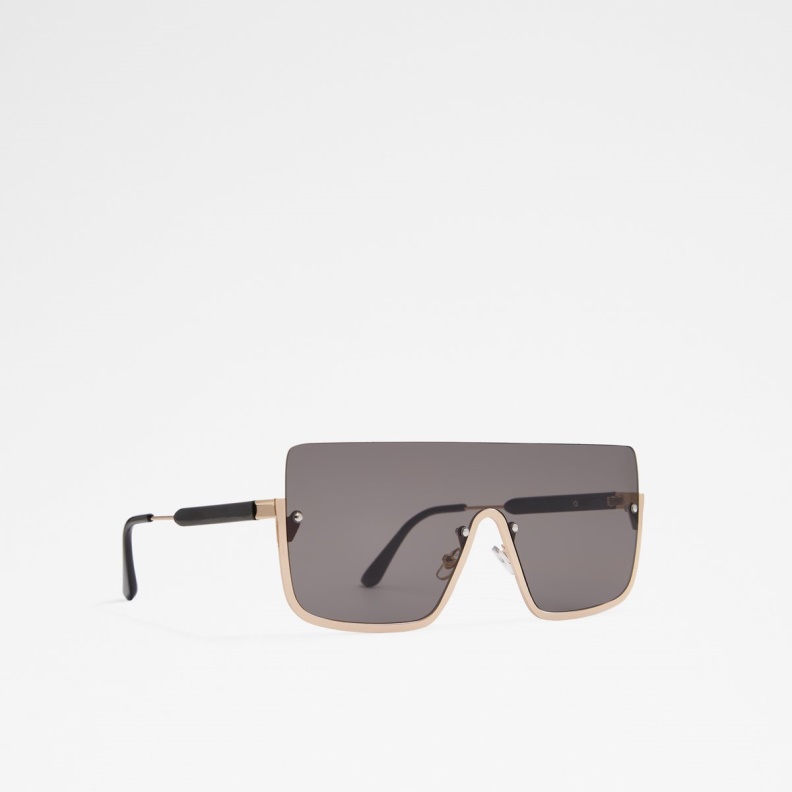 Black-Gold Multi Danet Shield Sunglasses Fashion Aldo