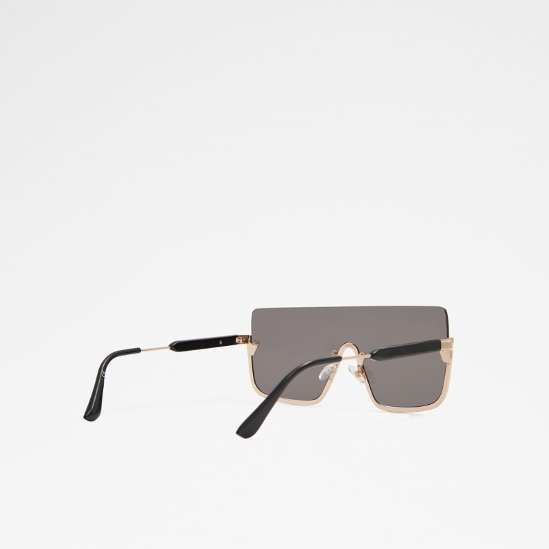 Black-Gold Multi Fashion Aldo Danet Shield Sunglasses