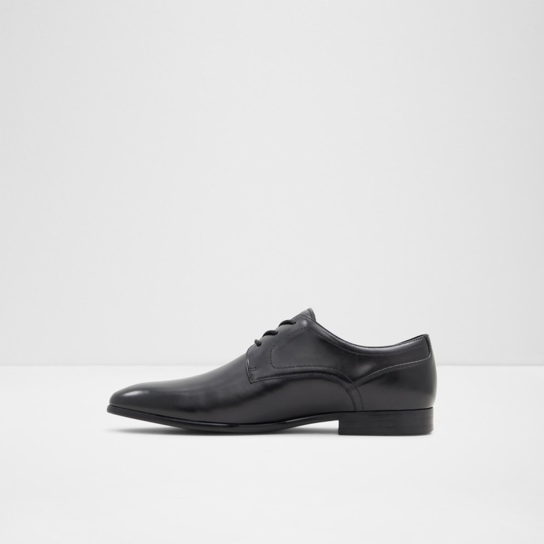 Delfordflex Derby Shoe Fashion Aldo Black