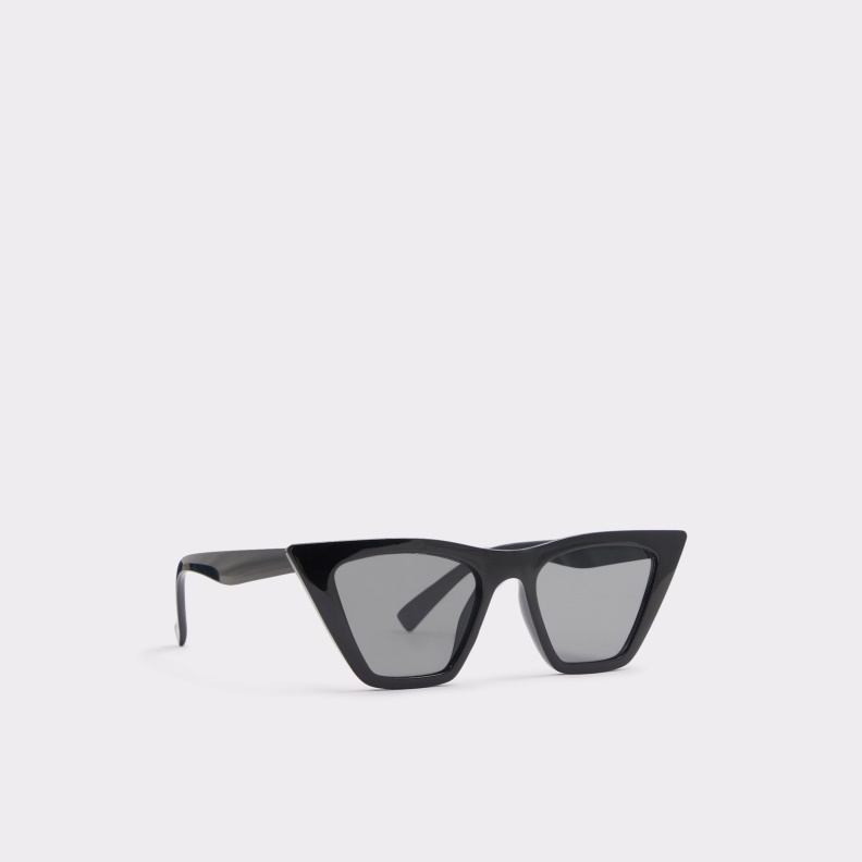 Derras Cat Eye Sunglasses Fashion Aldo Black