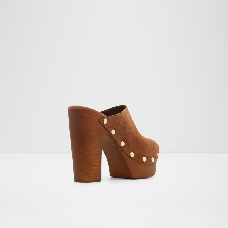 Brown Fashion Aldo Drenania Heeled Mule Platform