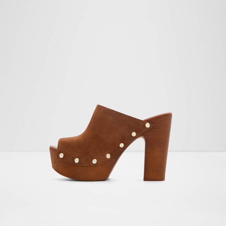 Brown Fashion Aldo Drenania Heeled Mule Platform